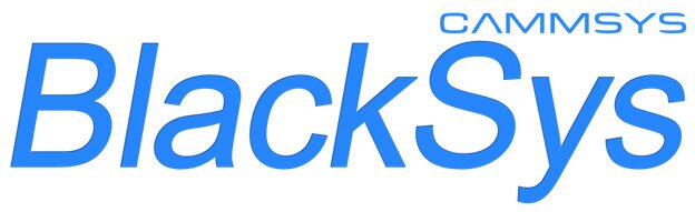 BlackSys logo.jpg