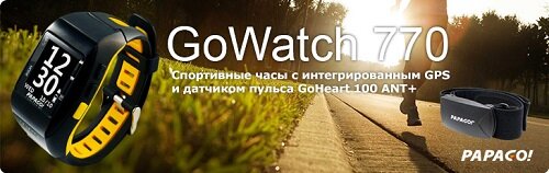 GoWatch770_mini.jpg